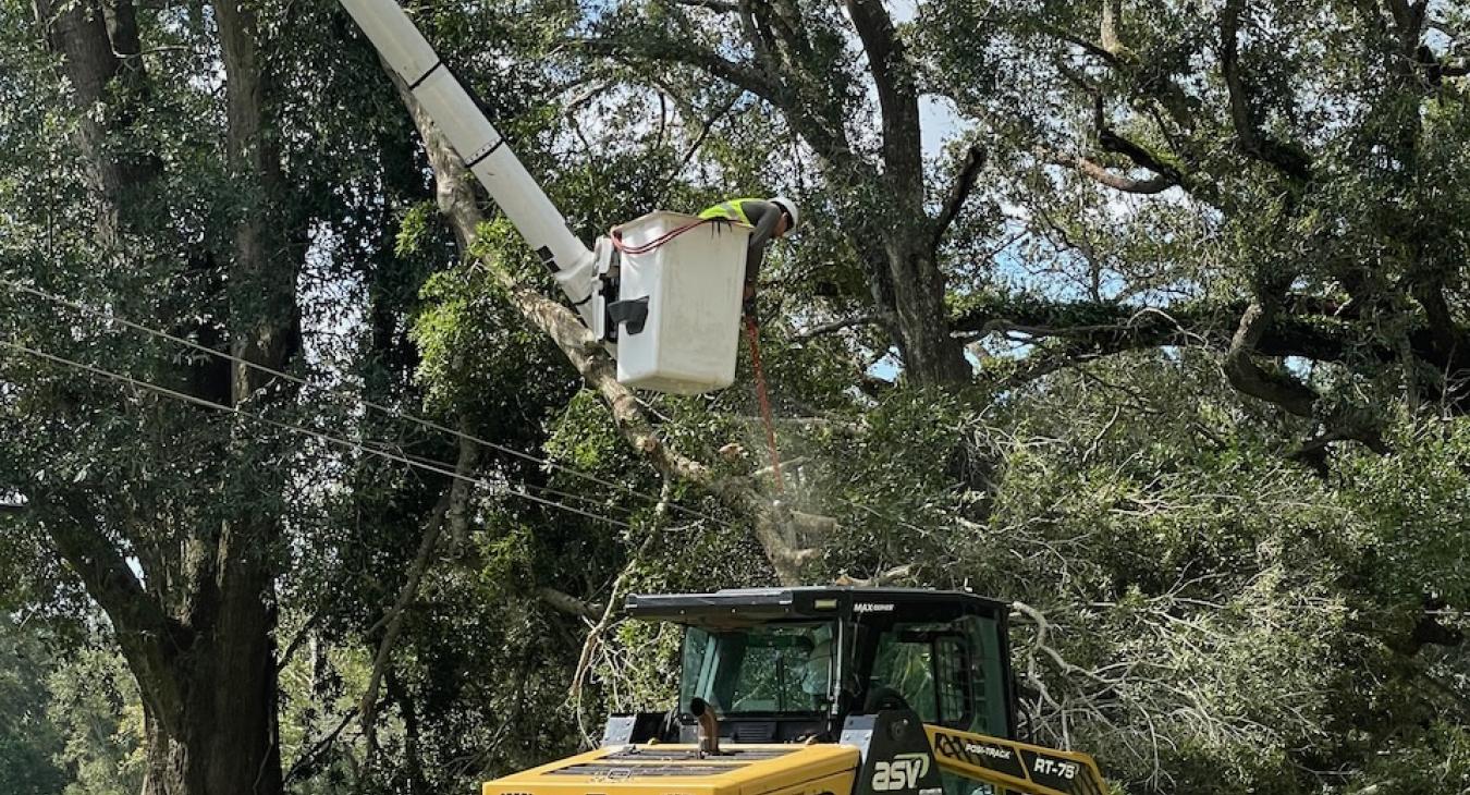 Vegetative debris is cleared by chainsaw and skid steer